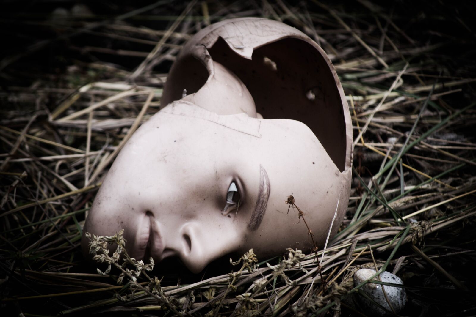 Nikon D3100 sample photo. Broken head, alone, lonely photography