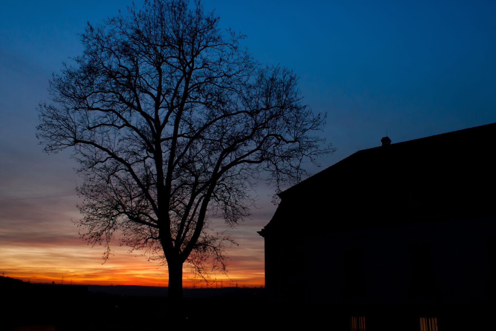Canon EOS 500D (EOS Rebel T1i / EOS Kiss X3) sample photo. Sunset, marbach, tree photography