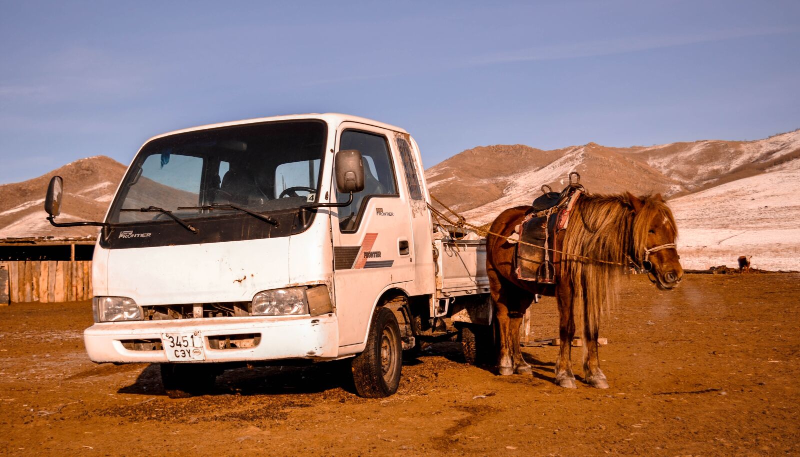 Nikon D90 sample photo. Horse, vehicle, car photography