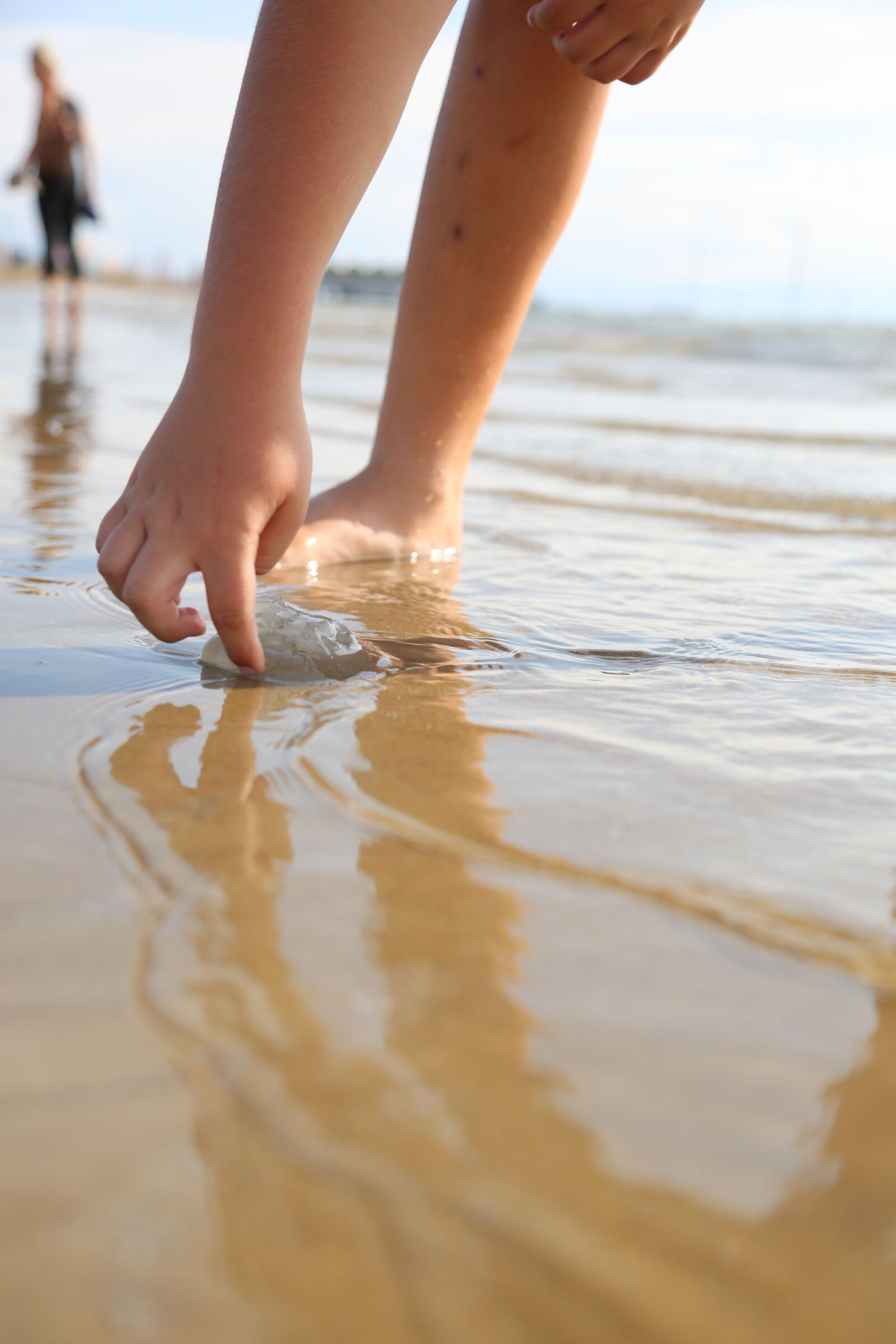 Canon EF 24-105mm F4L IS USM sample photo. Jellyfish, sand, beach photography