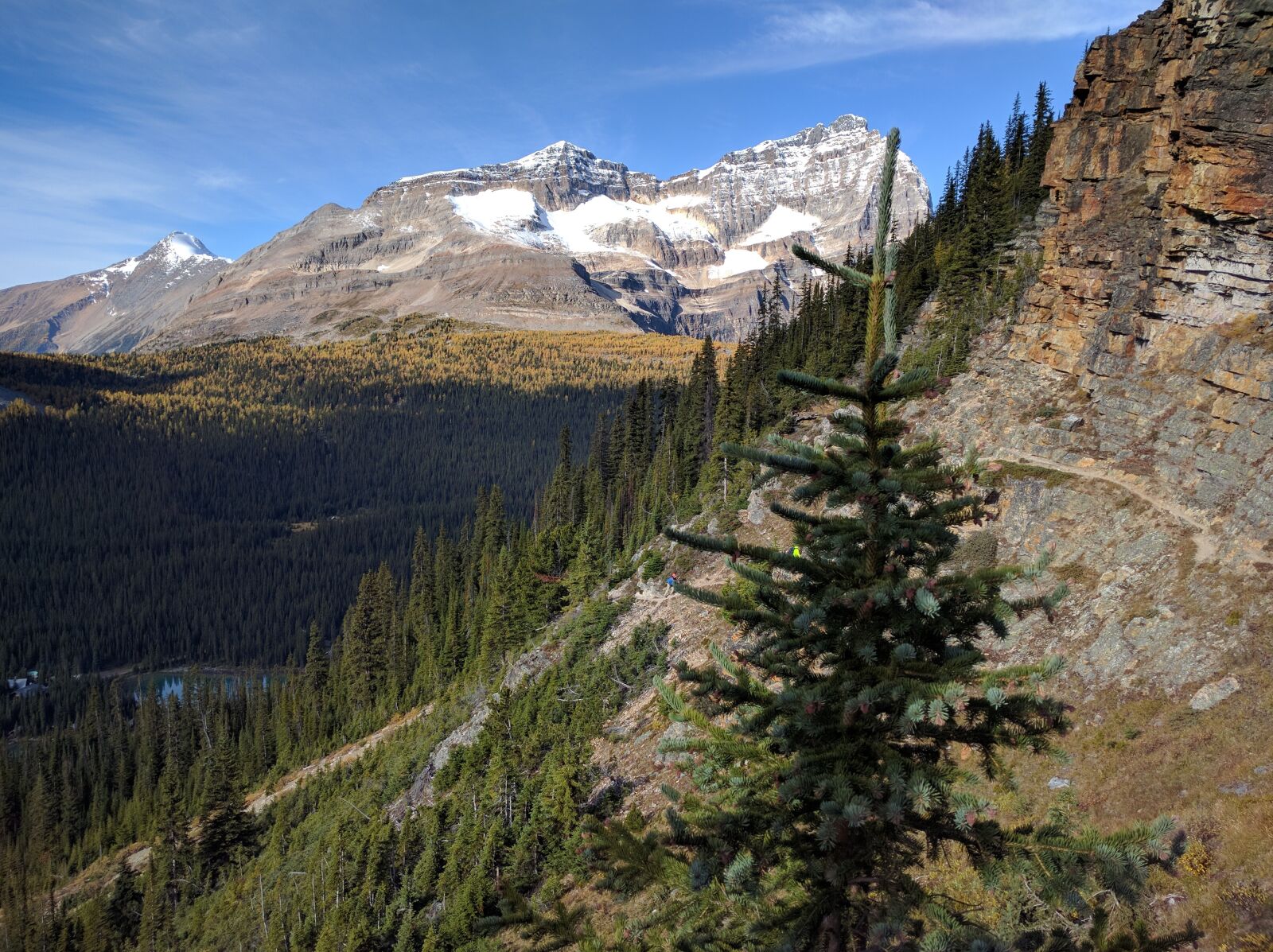 Google Nexus 6P sample photo. Mountain, mountains, alberta photography