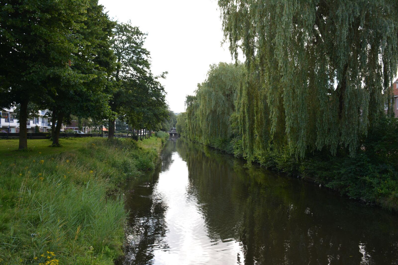 Nikon D5200 sample photo. Nature, body of water photography