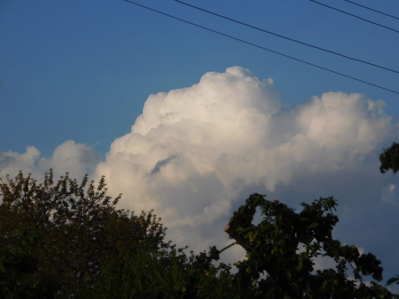 Nikon Coolpix L840 sample photo