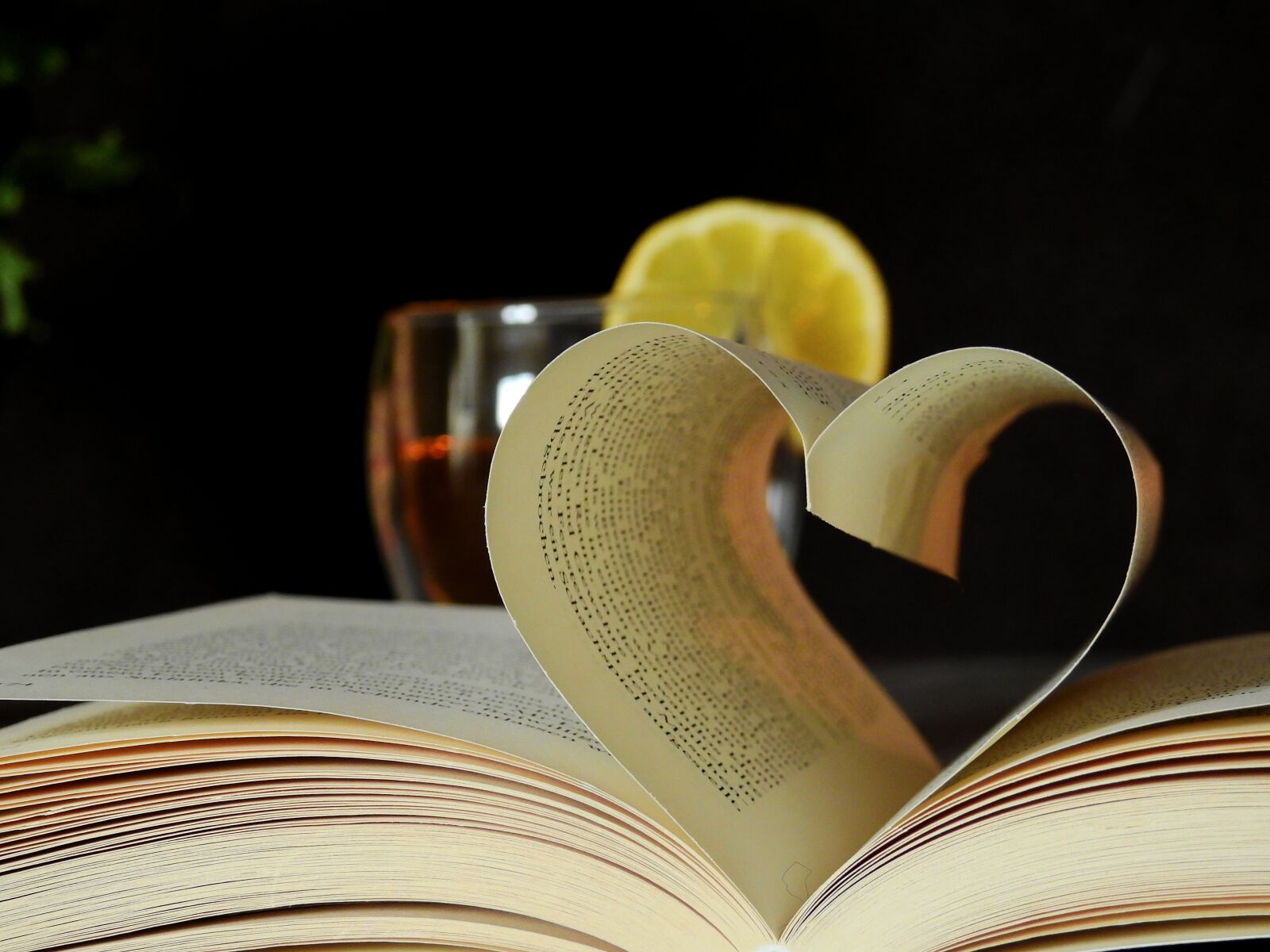 Nikon Coolpix P900 sample photo. Book, read, literature photography