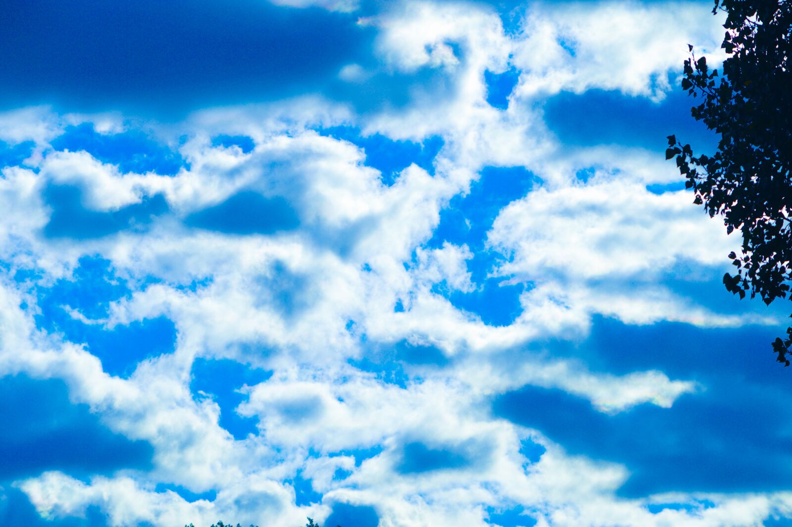 Nikon D3200 sample photo. Sky, clouds, bluesky photography