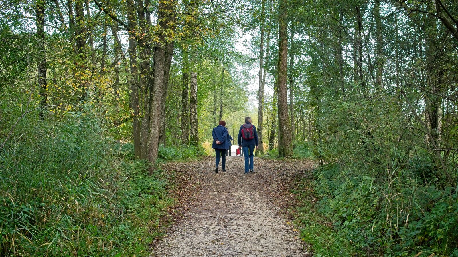 Nikon D7100 sample photo. Autumn, trail, forest photography