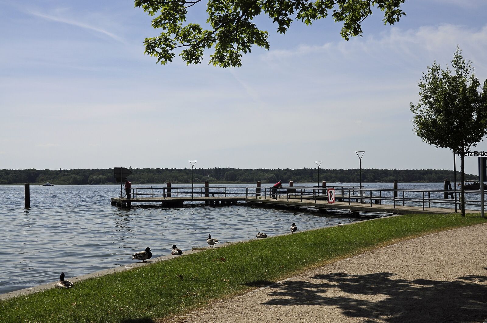 Nikon D90 sample photo. Water, lake, summer photography