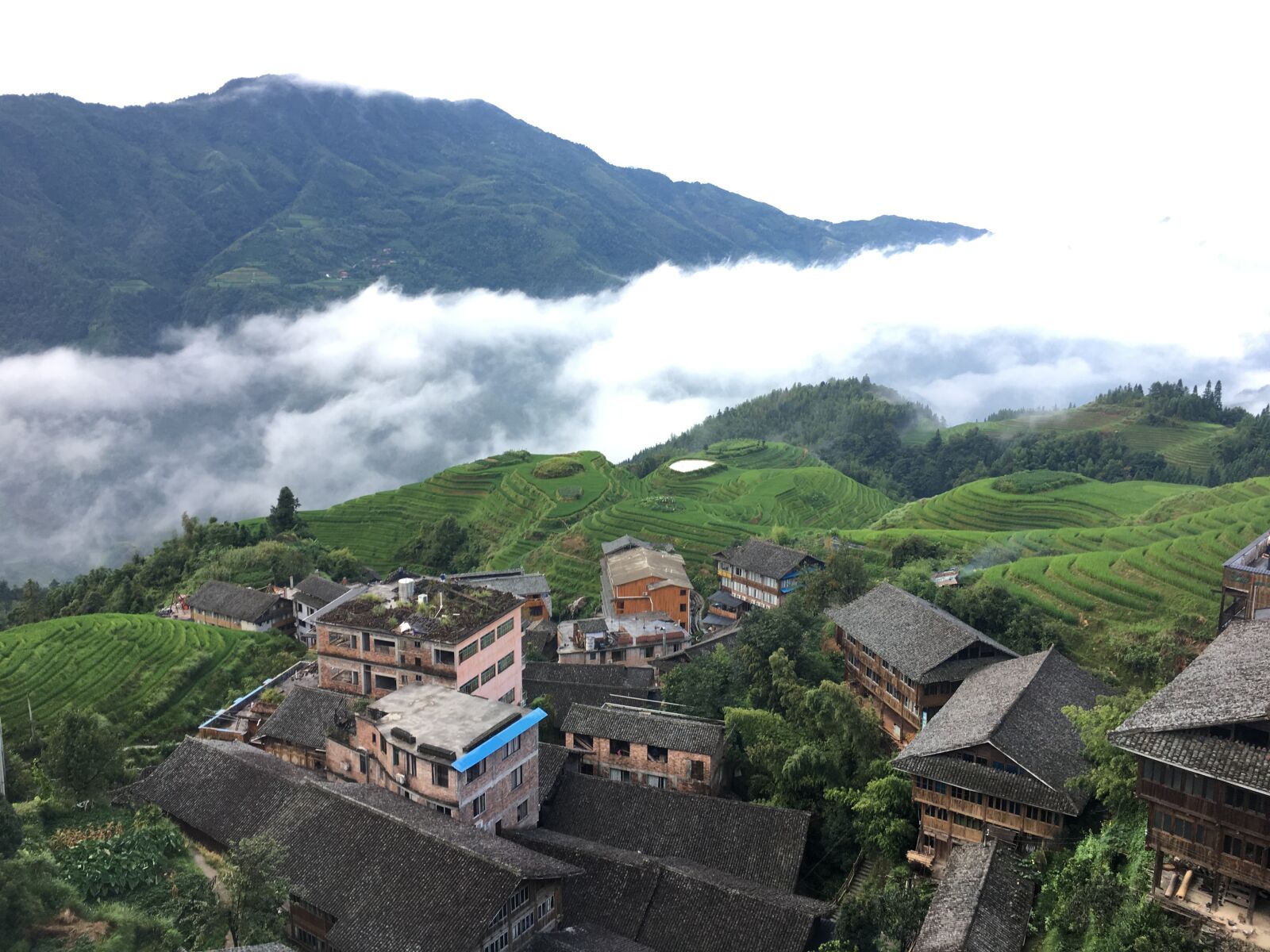 iPhone 6s Plus back camera 4.15mm f/2.2 sample photo. Terrace, longsheng-china, landscape photography