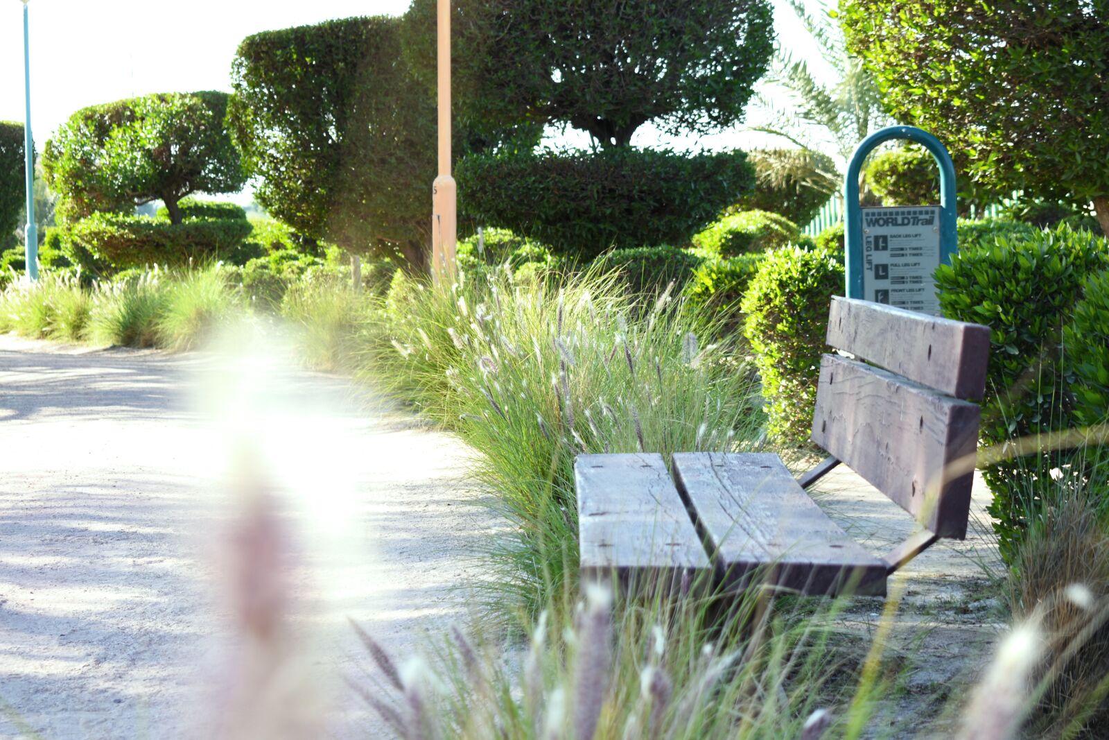 Nikon D3500 sample photo. Bench, park, trees photography