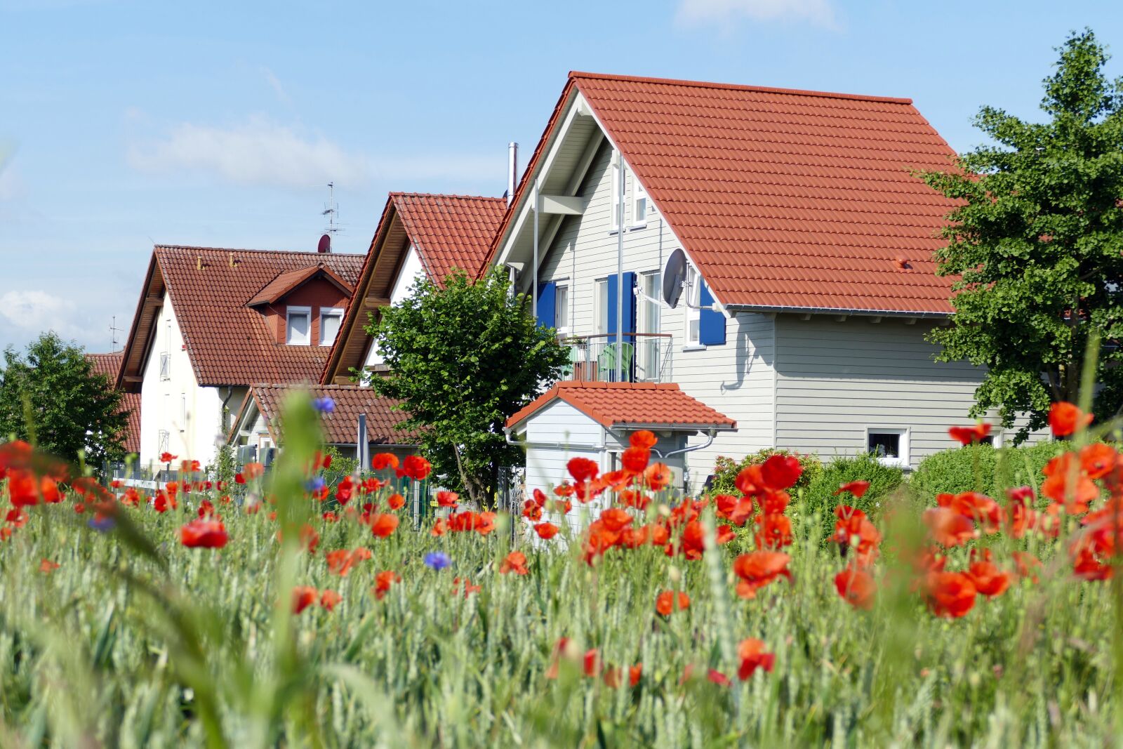 Panasonic Lumix DMC-FZ1000 sample photo. Village, houses, architecture photography