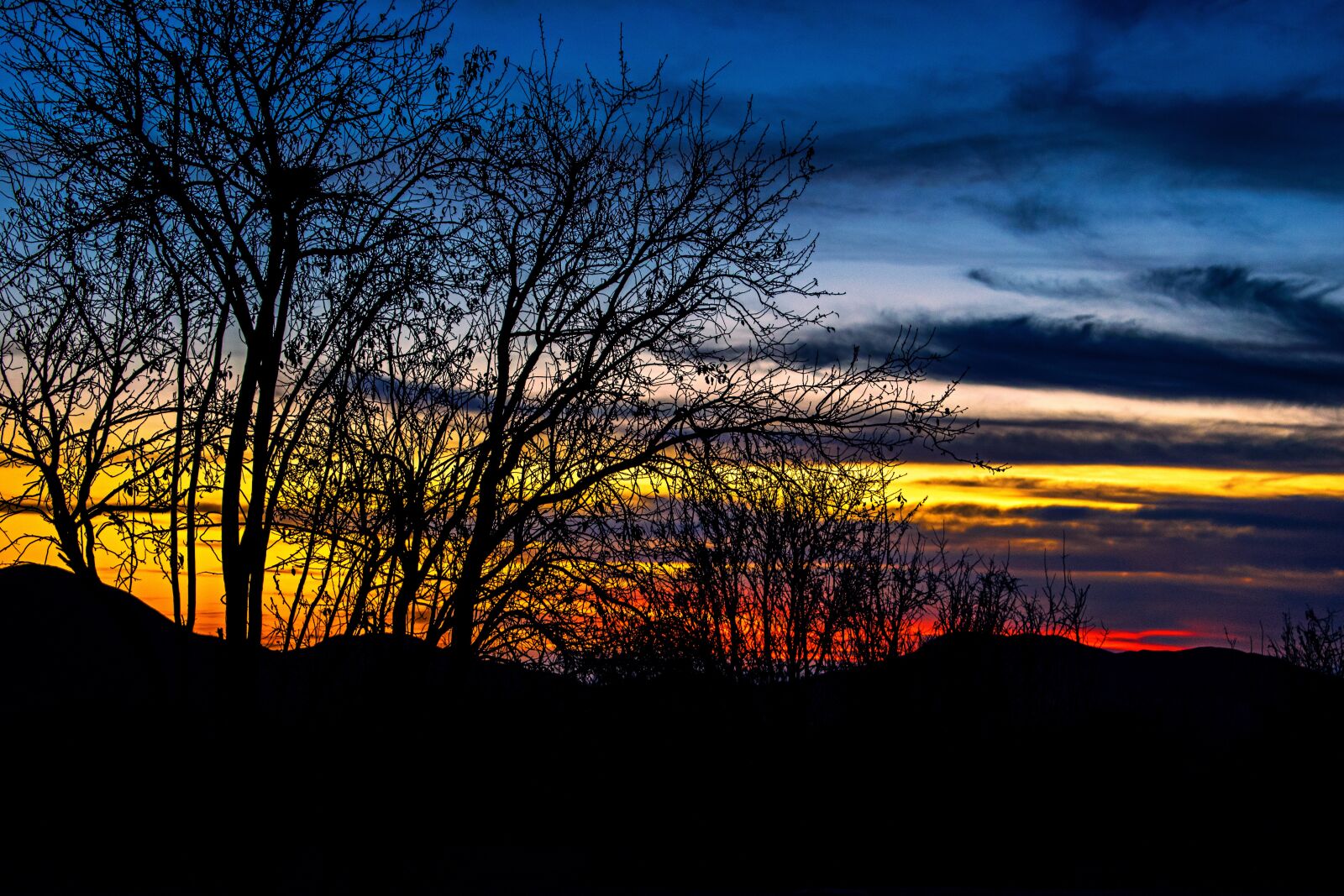 Nikon D5300 sample photo. Sunset, sun, nature photography