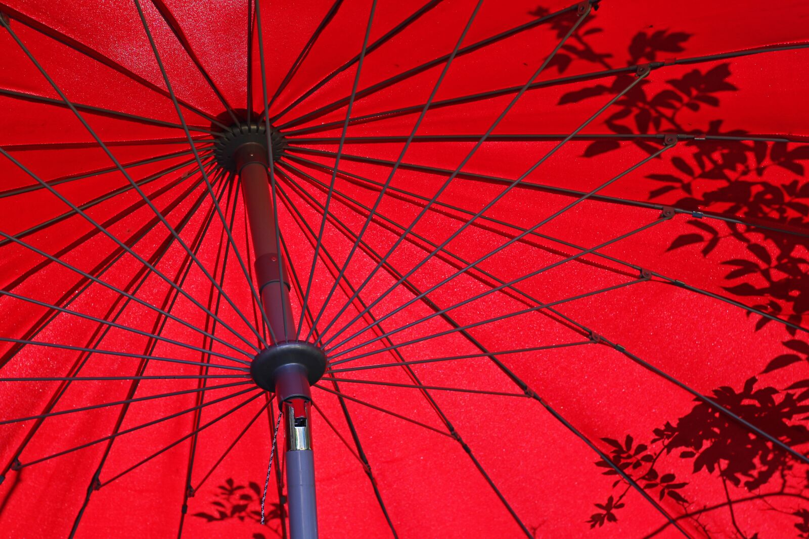 Canon EOS 700D (EOS Rebel T5i / EOS Kiss X7i) sample photo. Parasol, summer, shadow photography