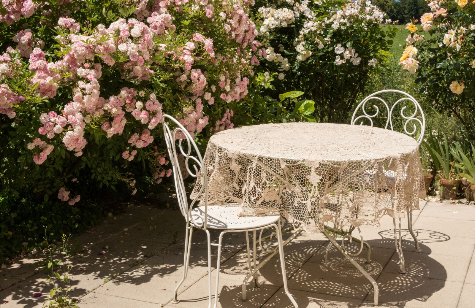 Nikon D7200 sample photo. Table, summer, roses photography