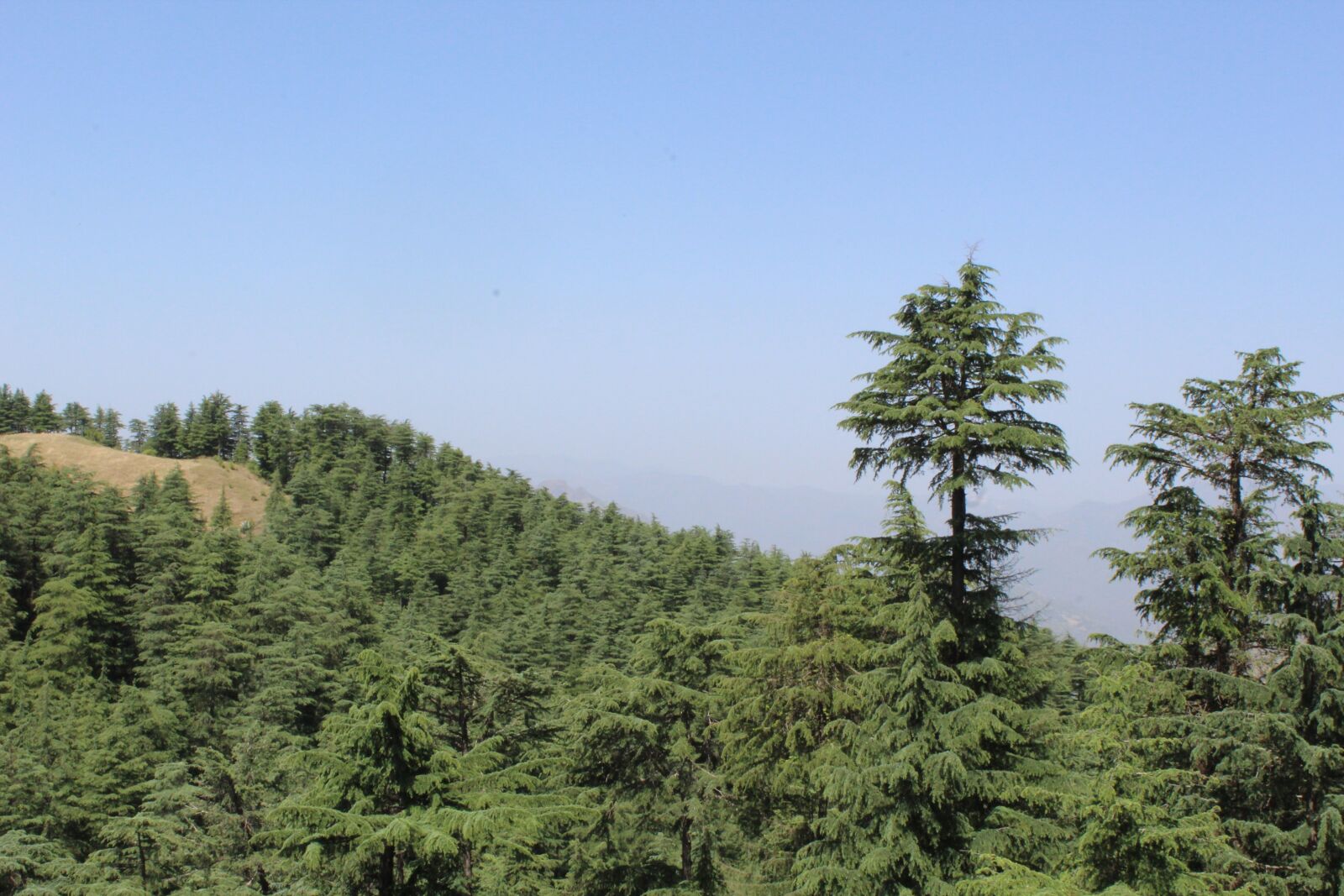Canon EOS 1300D (EOS Rebel T6 / EOS Kiss X80) sample photo. Landscape, green, trees photography