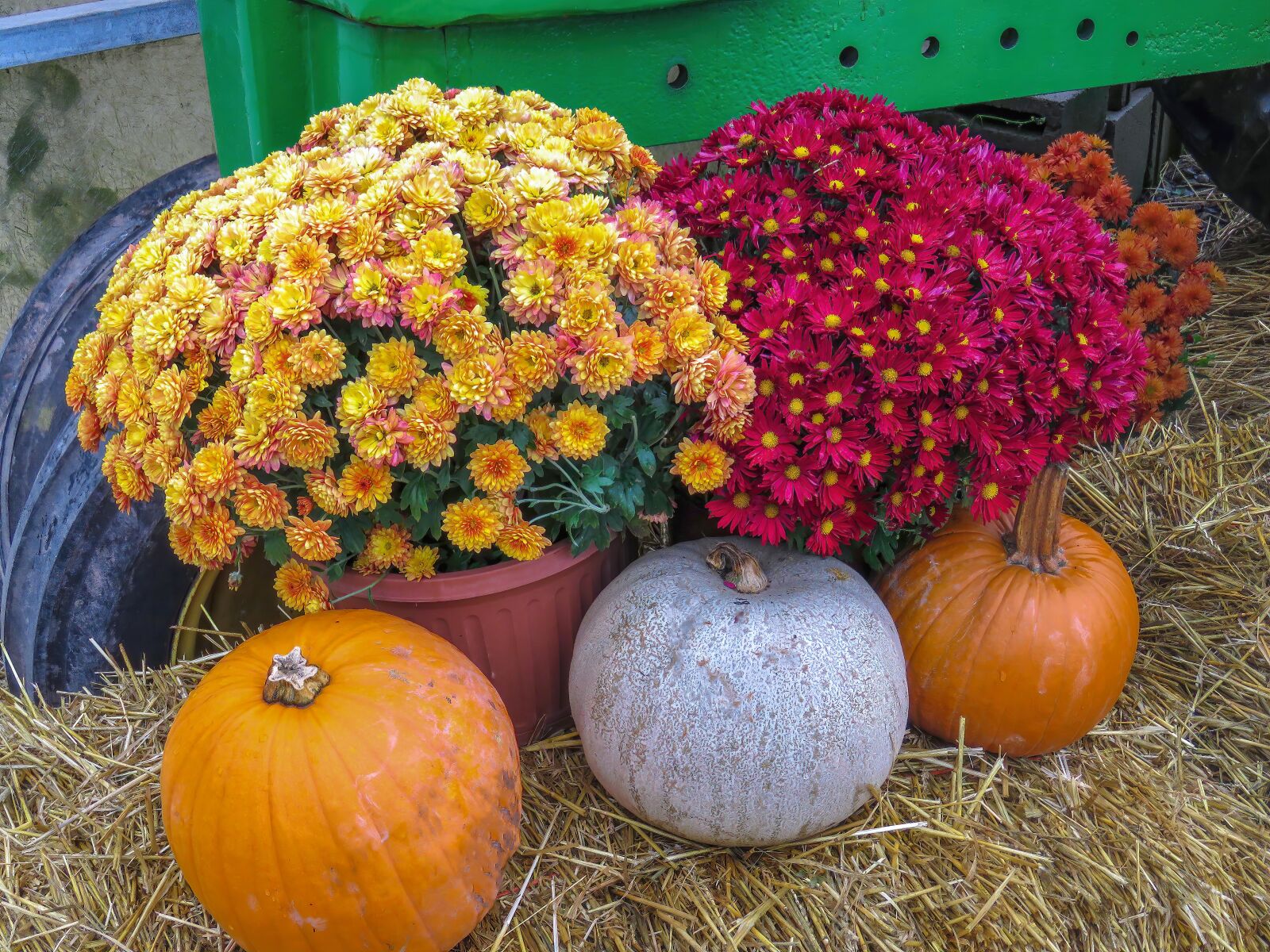 Canon PowerShot SX60 HS sample photo. Autumn, fall, season photography
