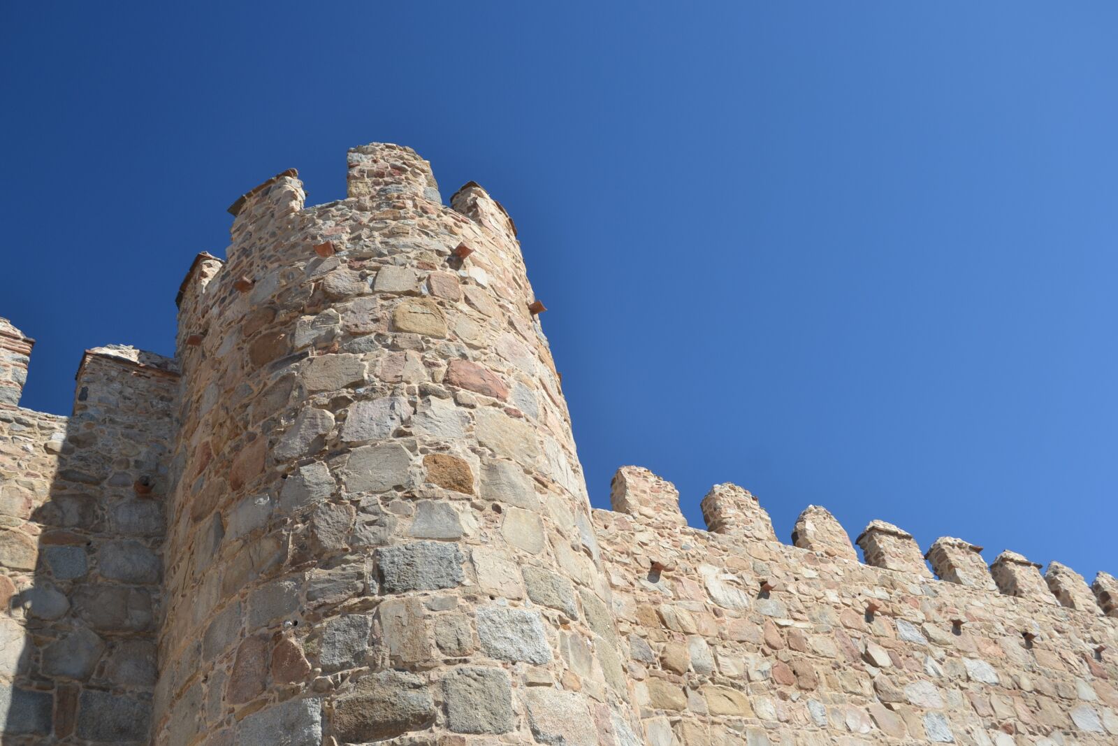 Nikon D3100 sample photo. Avila, wall, medieval photography