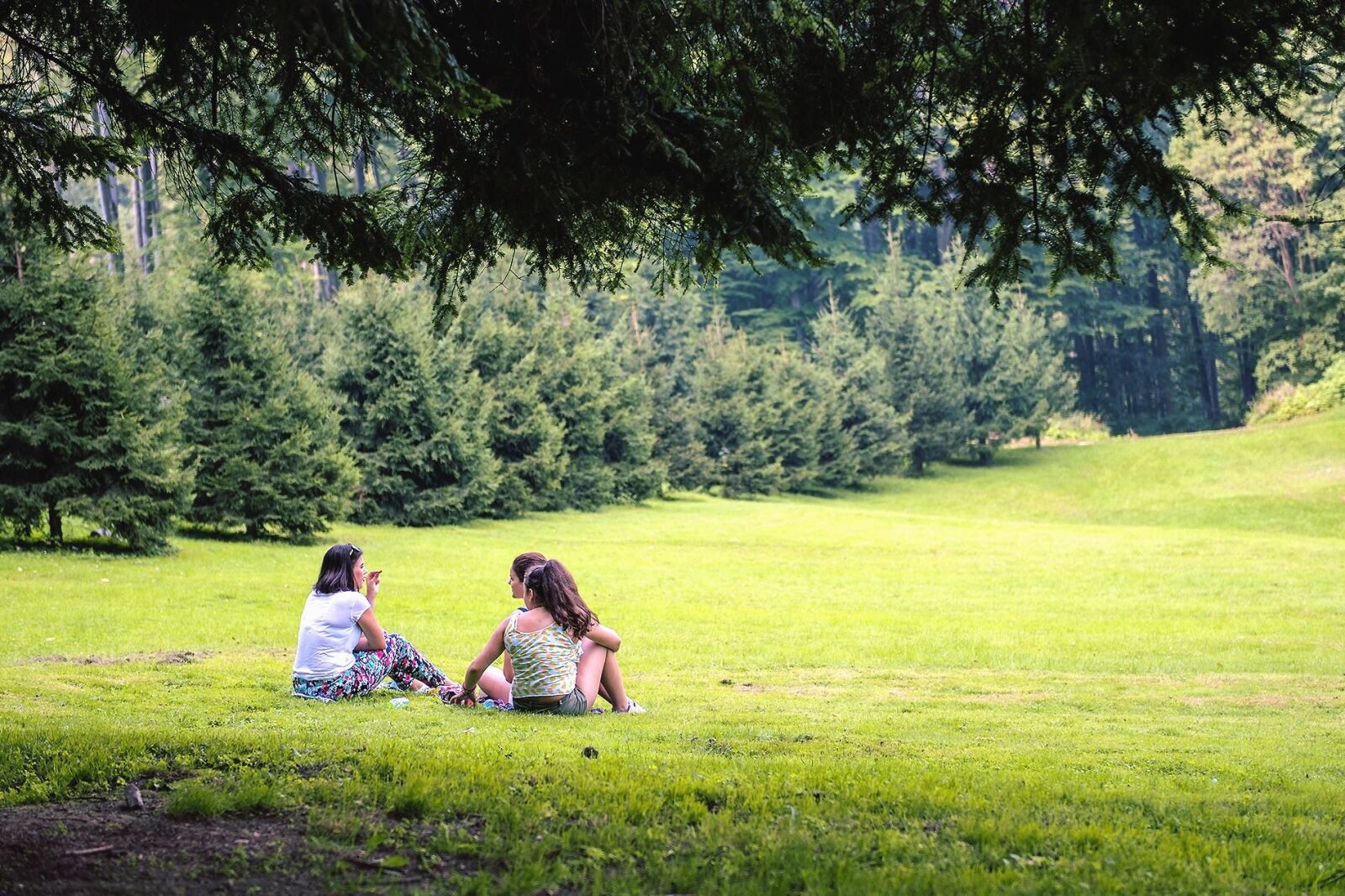 Nikon D810 sample photo. Grass, field, summer, girl photography