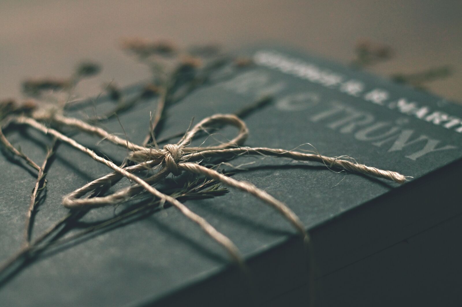 Canon EOS 1100D (EOS Rebel T3 / EOS Kiss X50) + Canon EF 50mm F1.8 II sample photo. Book, game of thrones photography