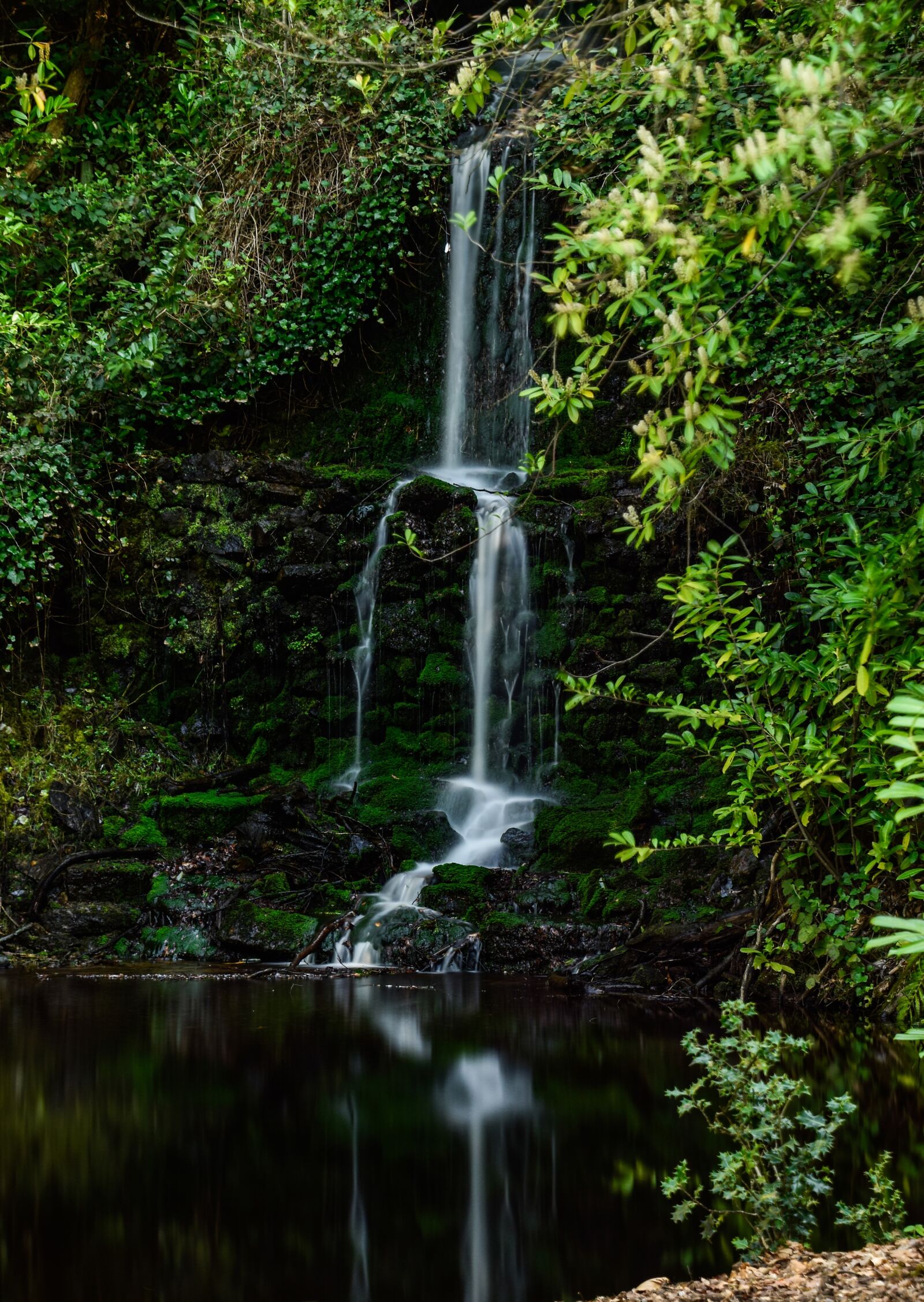 Nikon D5300 sample photo. Landscape, nature, waterfall photography