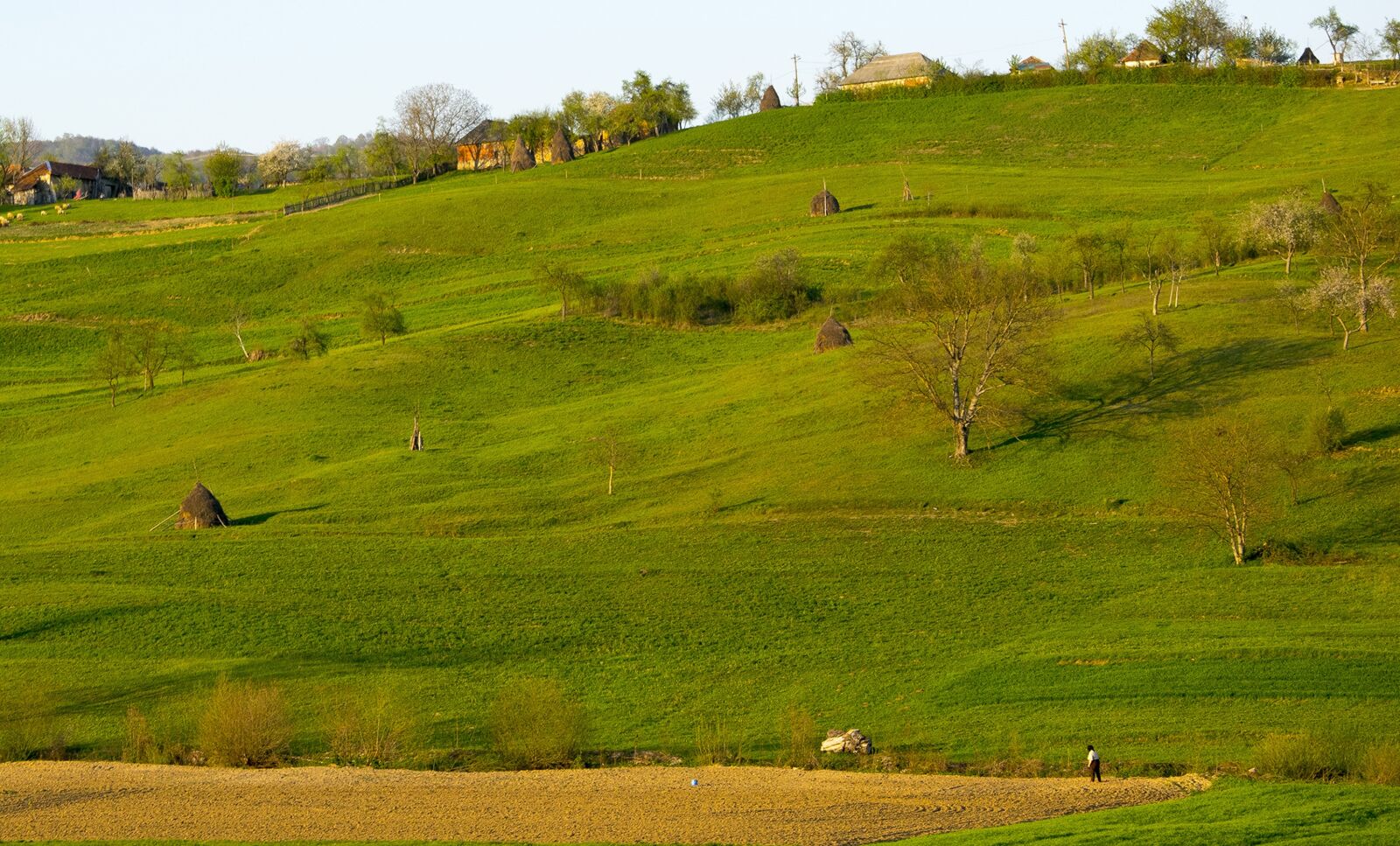 Nikon D5300 sample photo. Plains, land, landscape photography