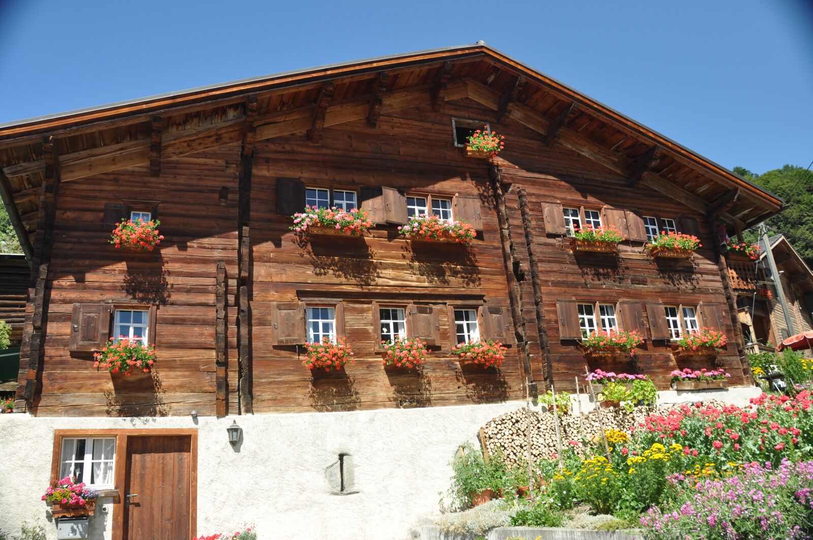 Nikon D90 sample photo. Agriculture, farm, prättigau photography
