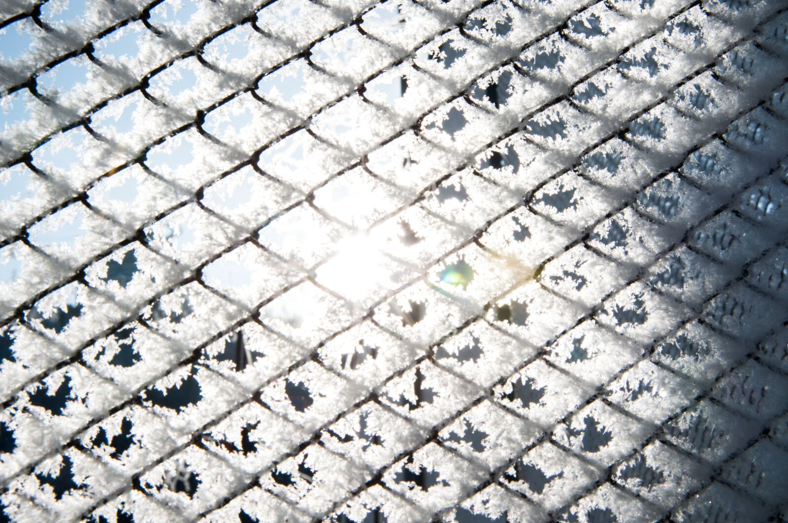 Nikon D300S sample photo. Template, background, texture photography