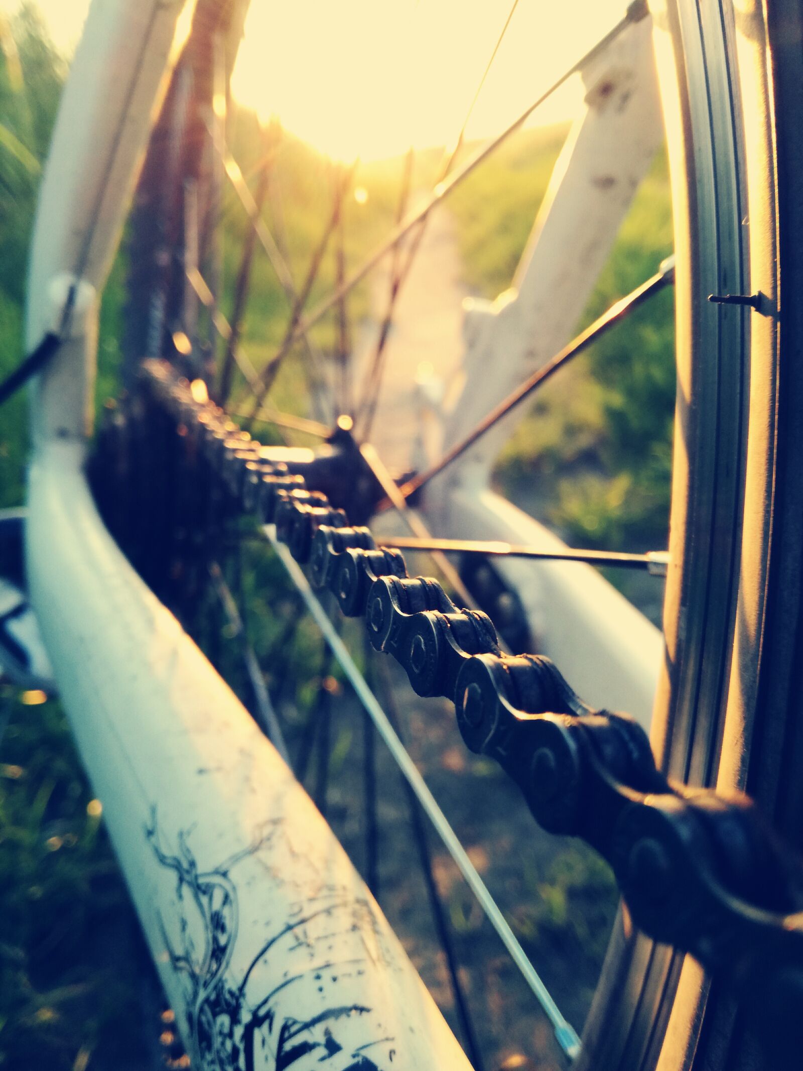HUAWEI P9 LITE sample photo. Bike, biker, bikers, bikes photography