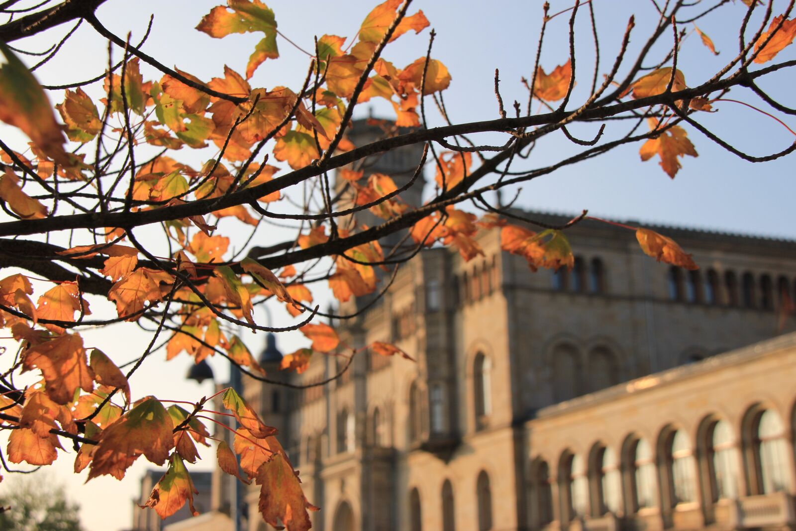 Canon EOS 550D (EOS Rebel T2i / EOS Kiss X4) sample photo. University of hannover, autumn photography
