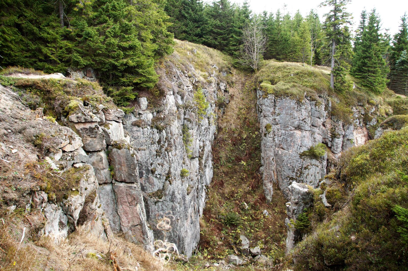 Sony SLT-A58 sample photo. The wolf pit, the photography