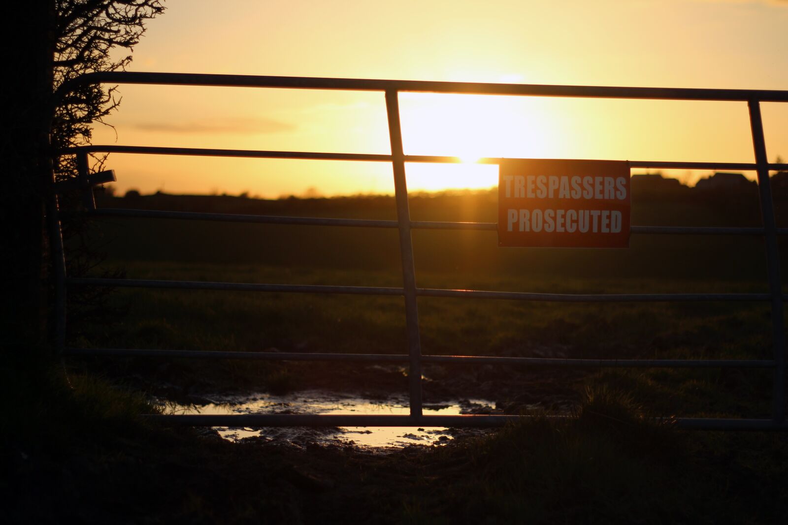 Canon EOS 600D (Rebel EOS T3i / EOS Kiss X5) + Canon EF 50mm F1.8 II sample photo. Sunset, landscape, no photography