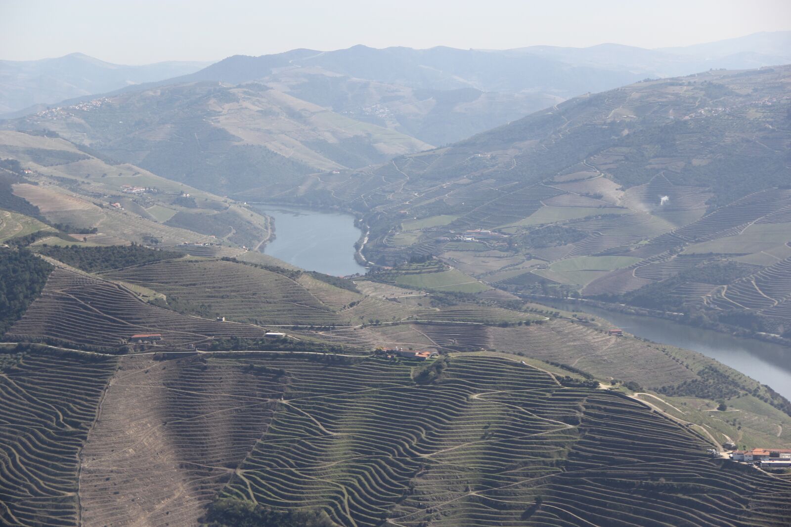 Canon EF-S 18-135mm F3.5-5.6 IS sample photo. Douro, wine, portugal photography