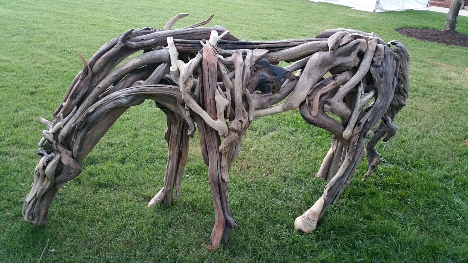 Samsung Galaxy Note4 sample photo. Wood, horse photography