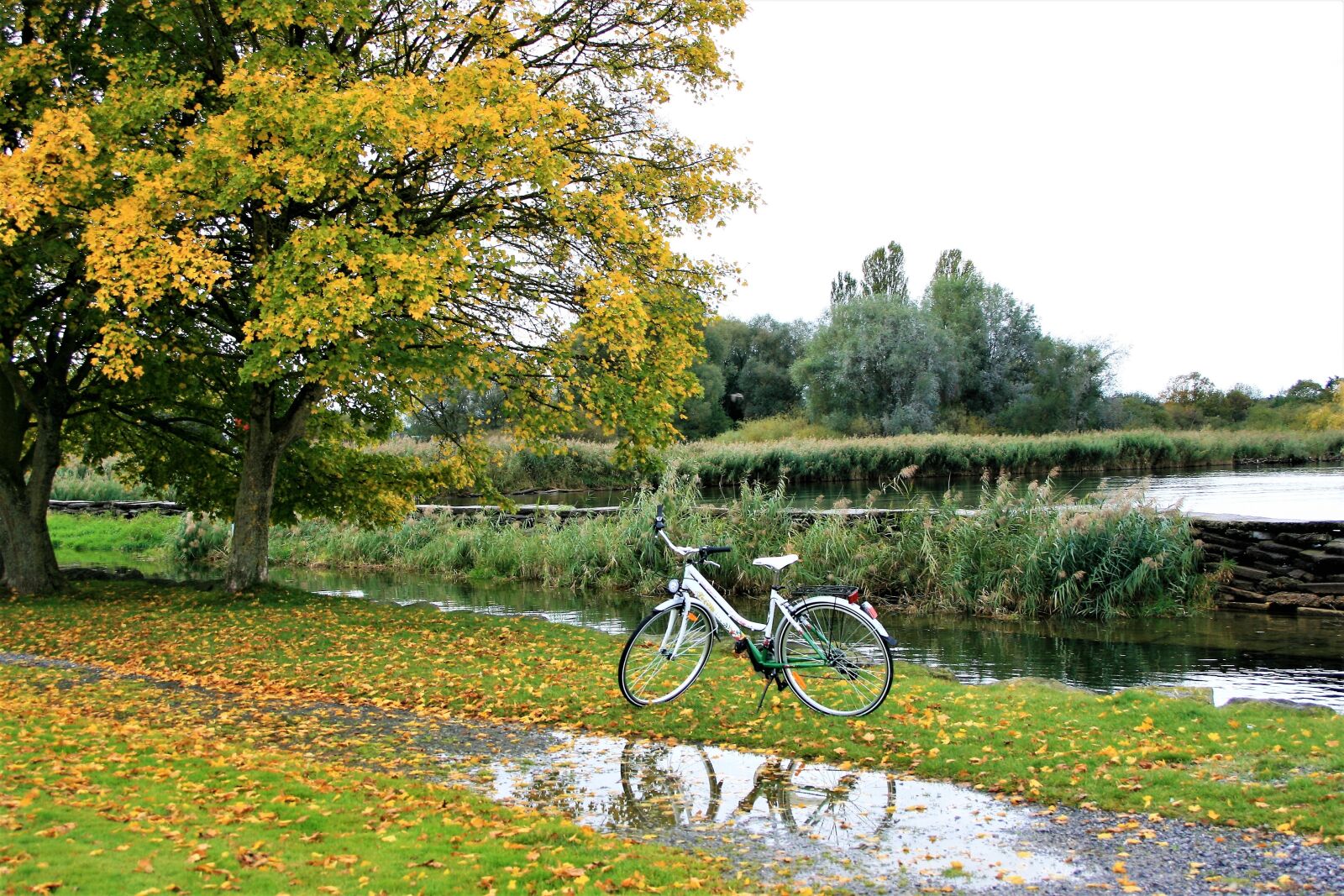 Canon EOS 400D (EOS Digital Rebel XTi / EOS Kiss Digital X) sample photo. Bike, autumn gold, foliage photography
