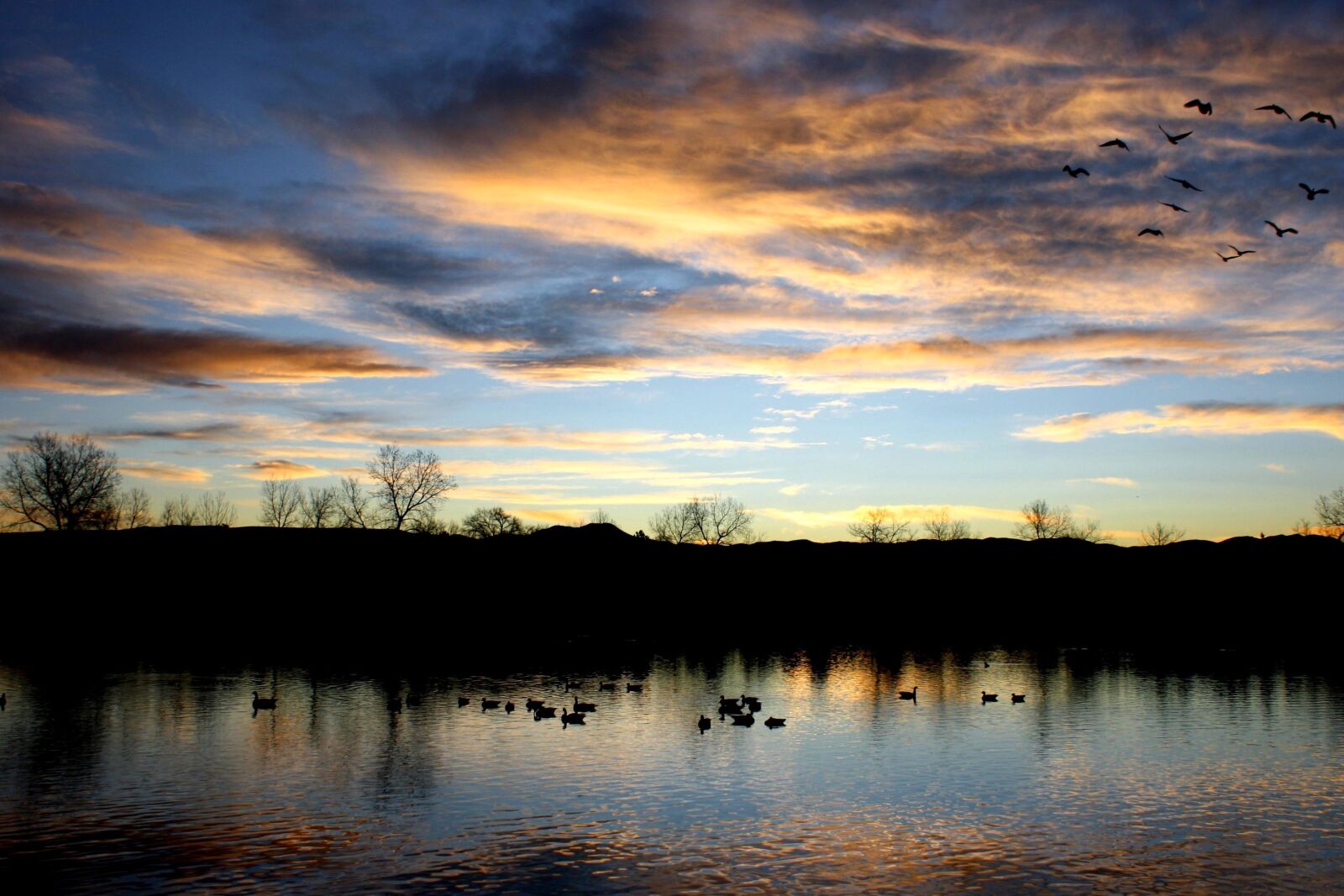 Canon EOS 1000D (EOS Digital Rebel XS / EOS Kiss F) + f/3.5-5.6 IS sample photo. Geese flying, lake, sunset photography