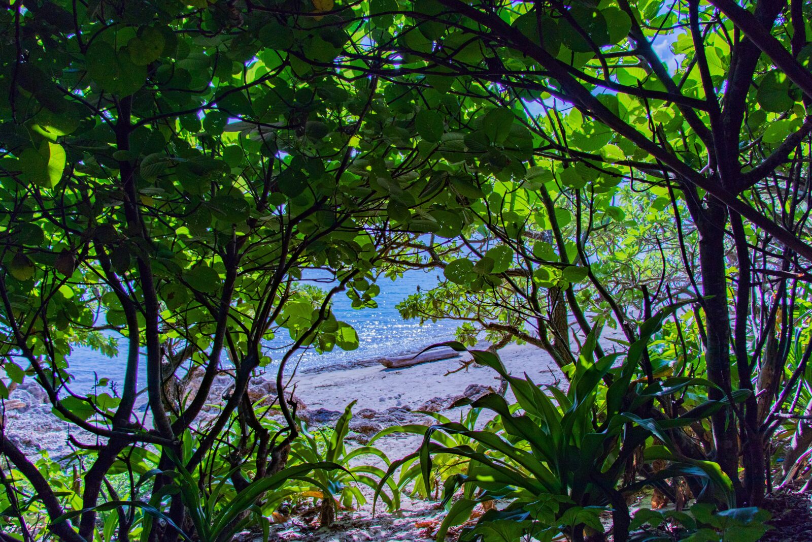 Canon EF-S 18-135mm F3.5-5.6 IS USM sample photo. Okinawa, sea, blue photography