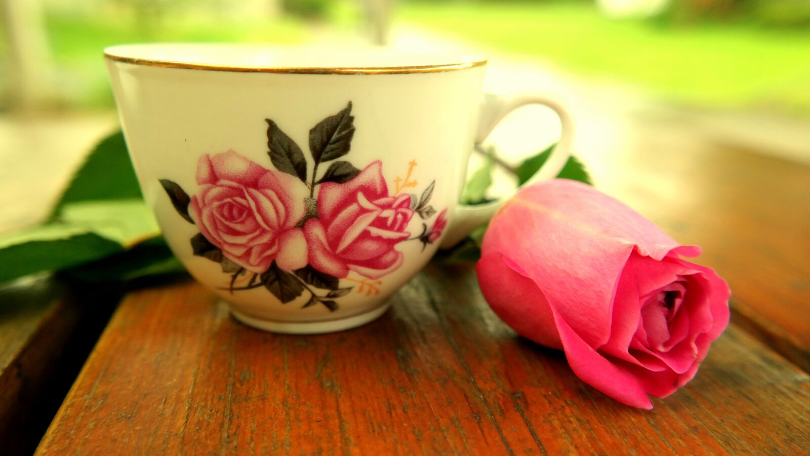 Samsung NX300M sample photo. Teacup, rose, blossom photography