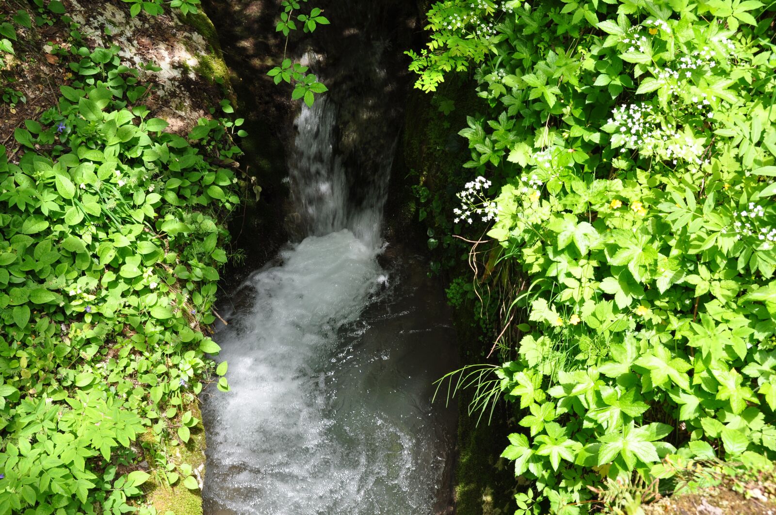 Nikon D90 sample photo. горная река, ущелье, природа photography