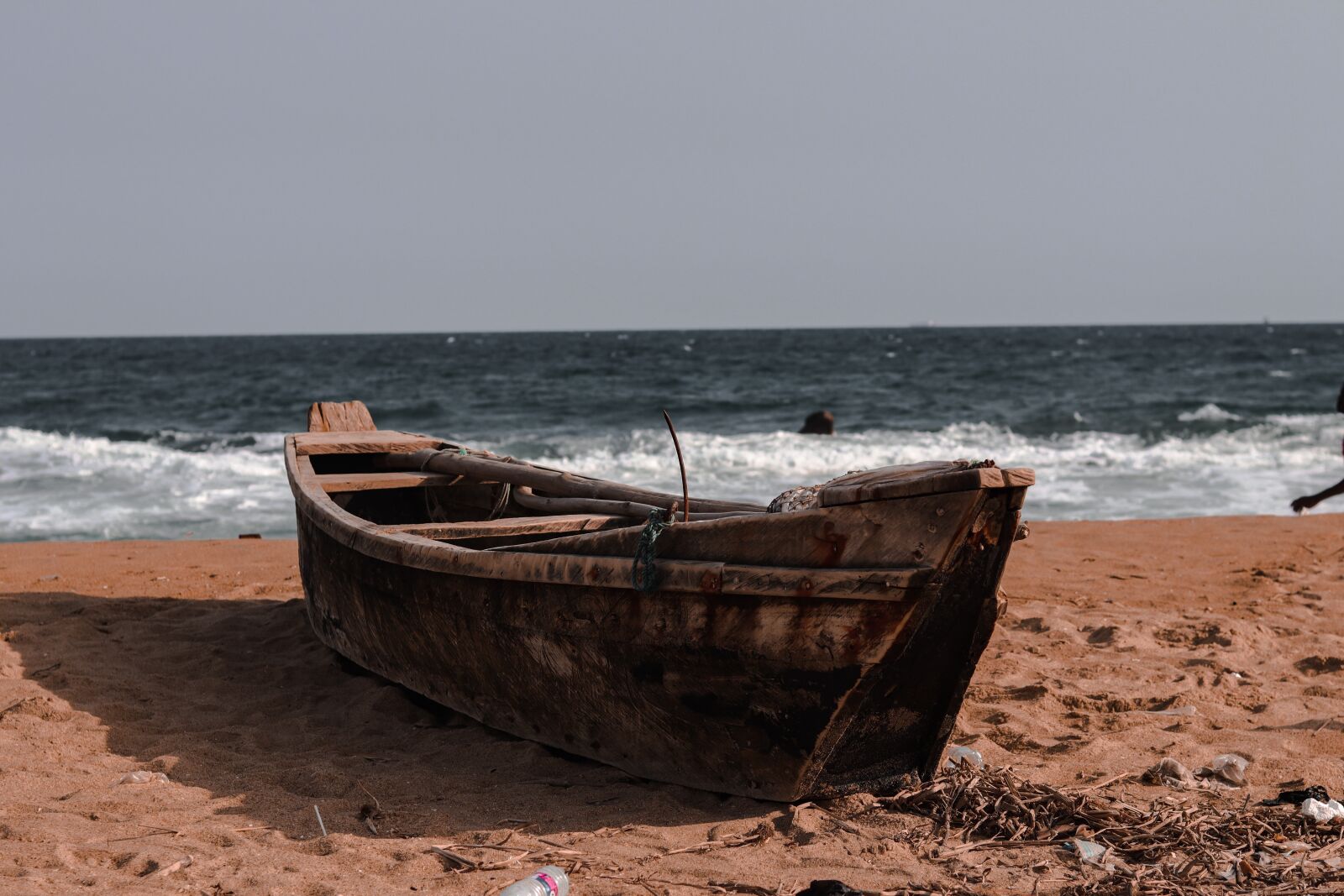 Canon EOS M50 (EOS Kiss M) sample photo. Palm tress, beach, nature photography