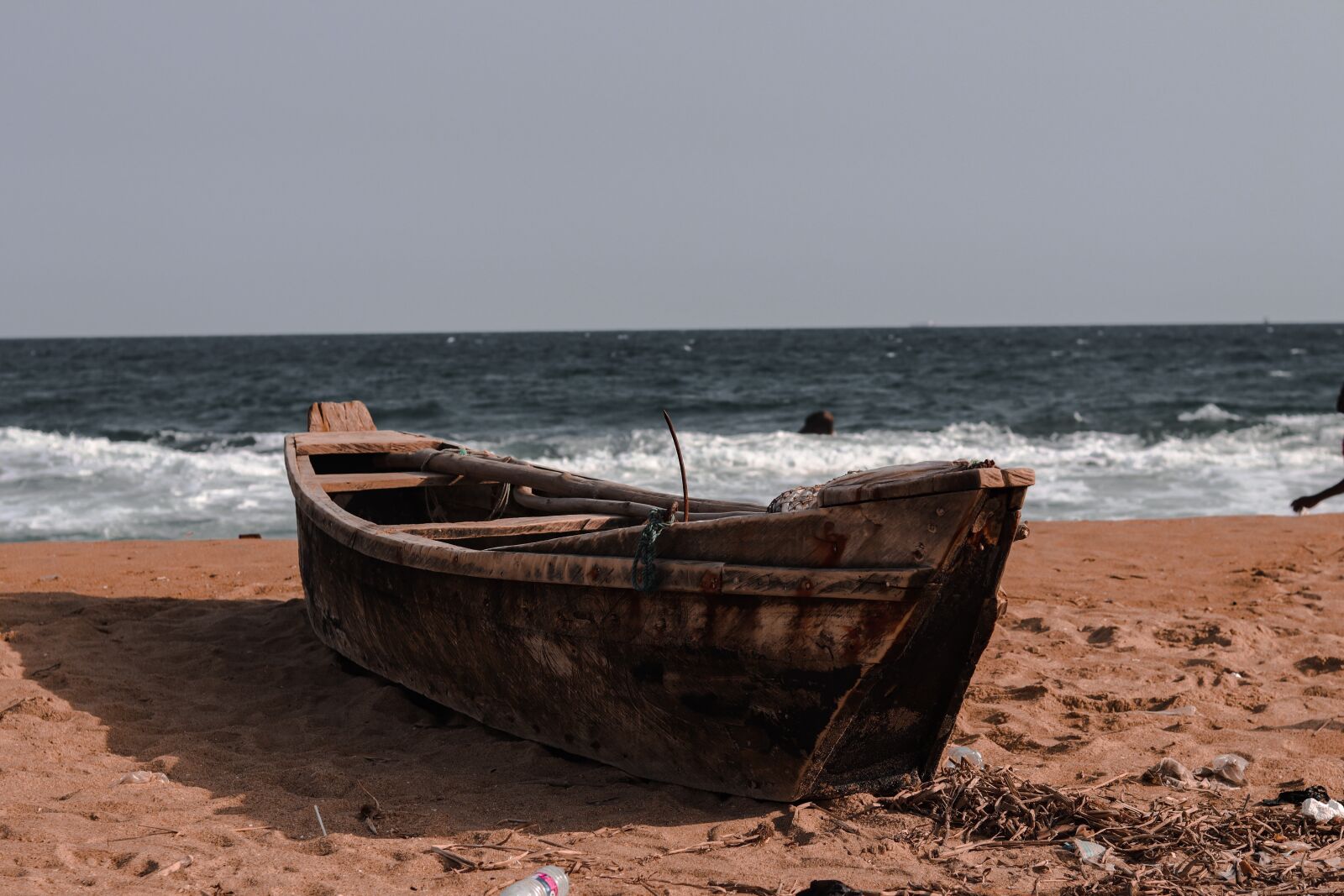 Canon EOS M50 (EOS Kiss M) + Canon EF 50mm F1.8 STM sample photo. Palm tress, beach, nature photography