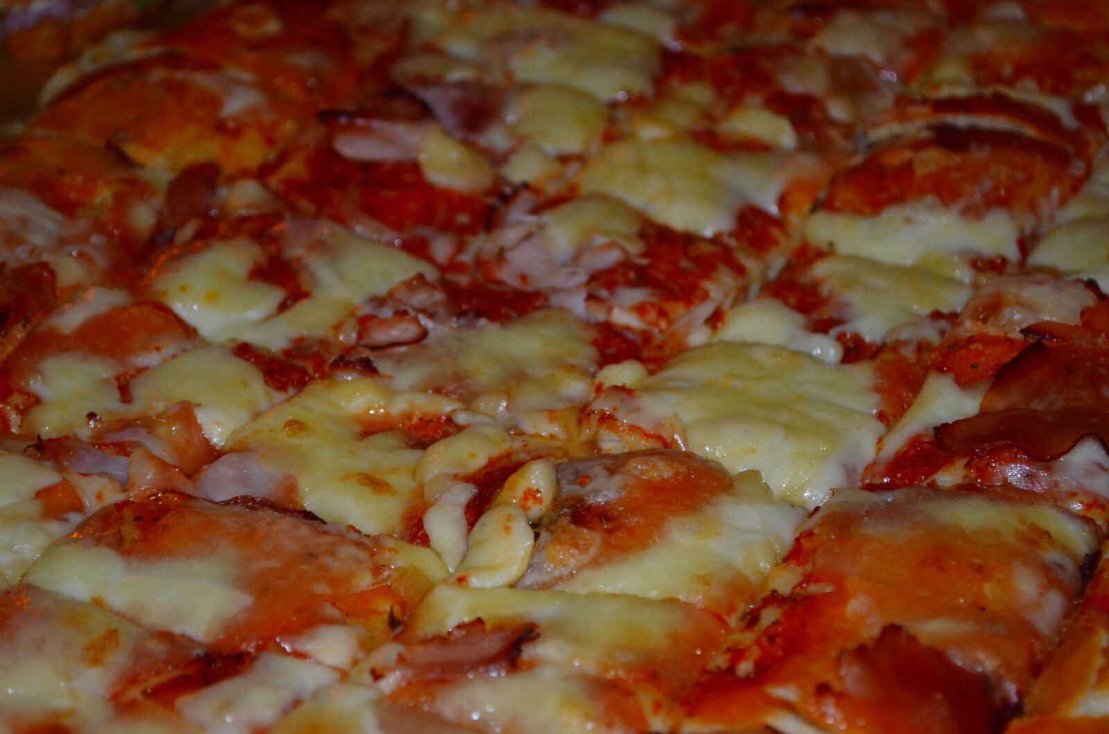 Nikon D5100 sample photo. Pizza, pizza by the photography