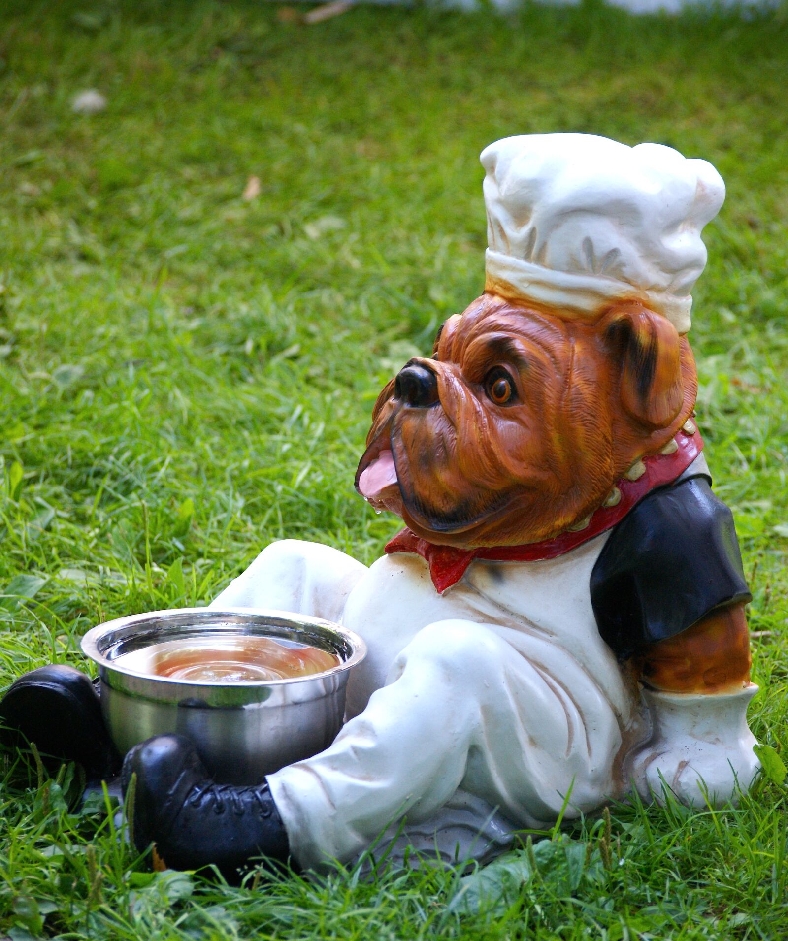 Sony Alpha DSLR-A350 sample photo. Dog bowl, dog, water photography