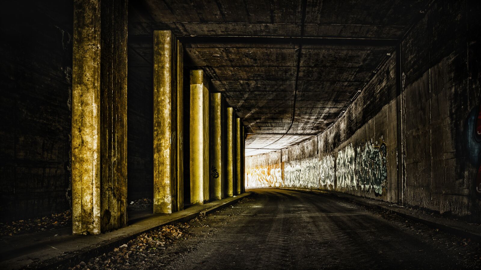 Nikon Z6 sample photo. Tunnel, road, curve photography