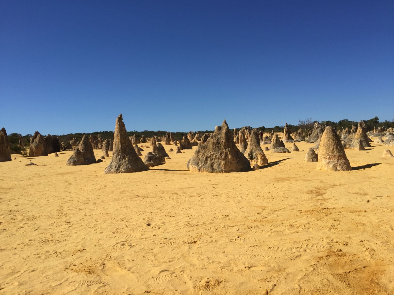 Apple iPhone 6 sample photo. The pinnacles, australia, nambung photography
