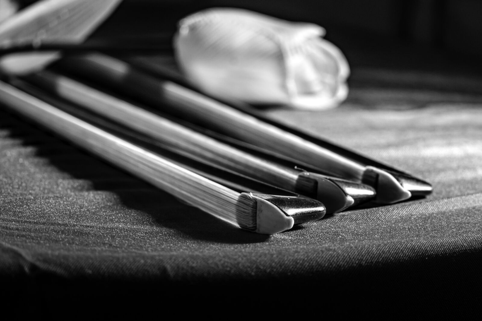Nikon D5600 sample photo. Cello bows, music instrument photography