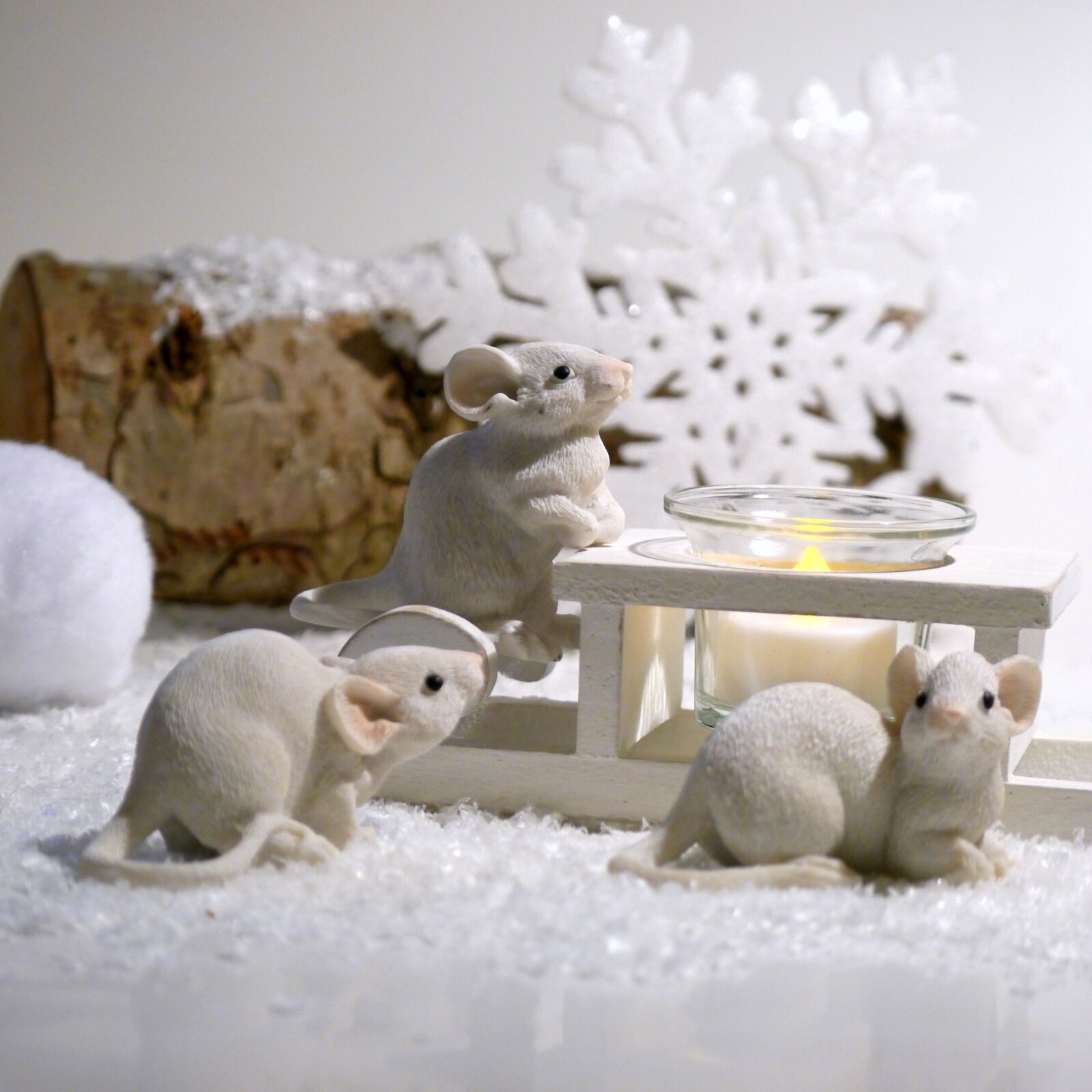 Panasonic Lumix DMC-G5 sample photo. Winter, mouse, advent photography