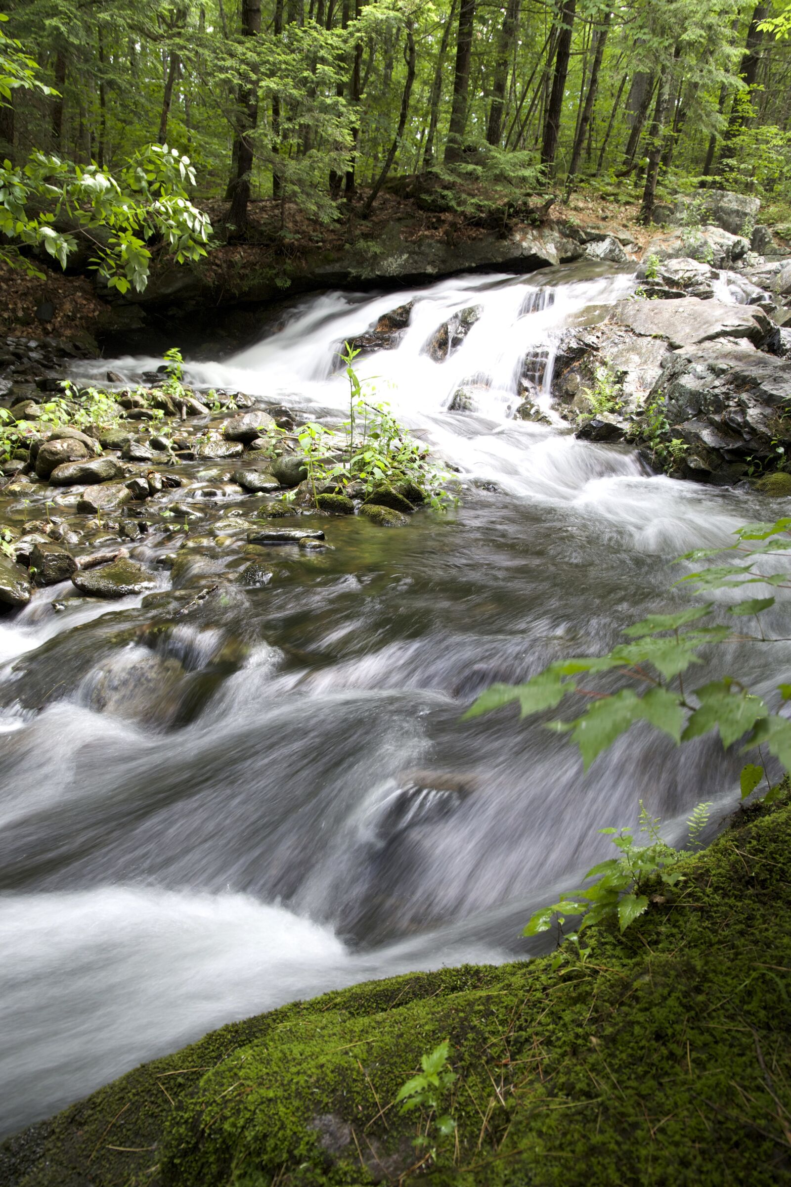 Canon EOS 6D sample photo. Stream water, mountain creek photography