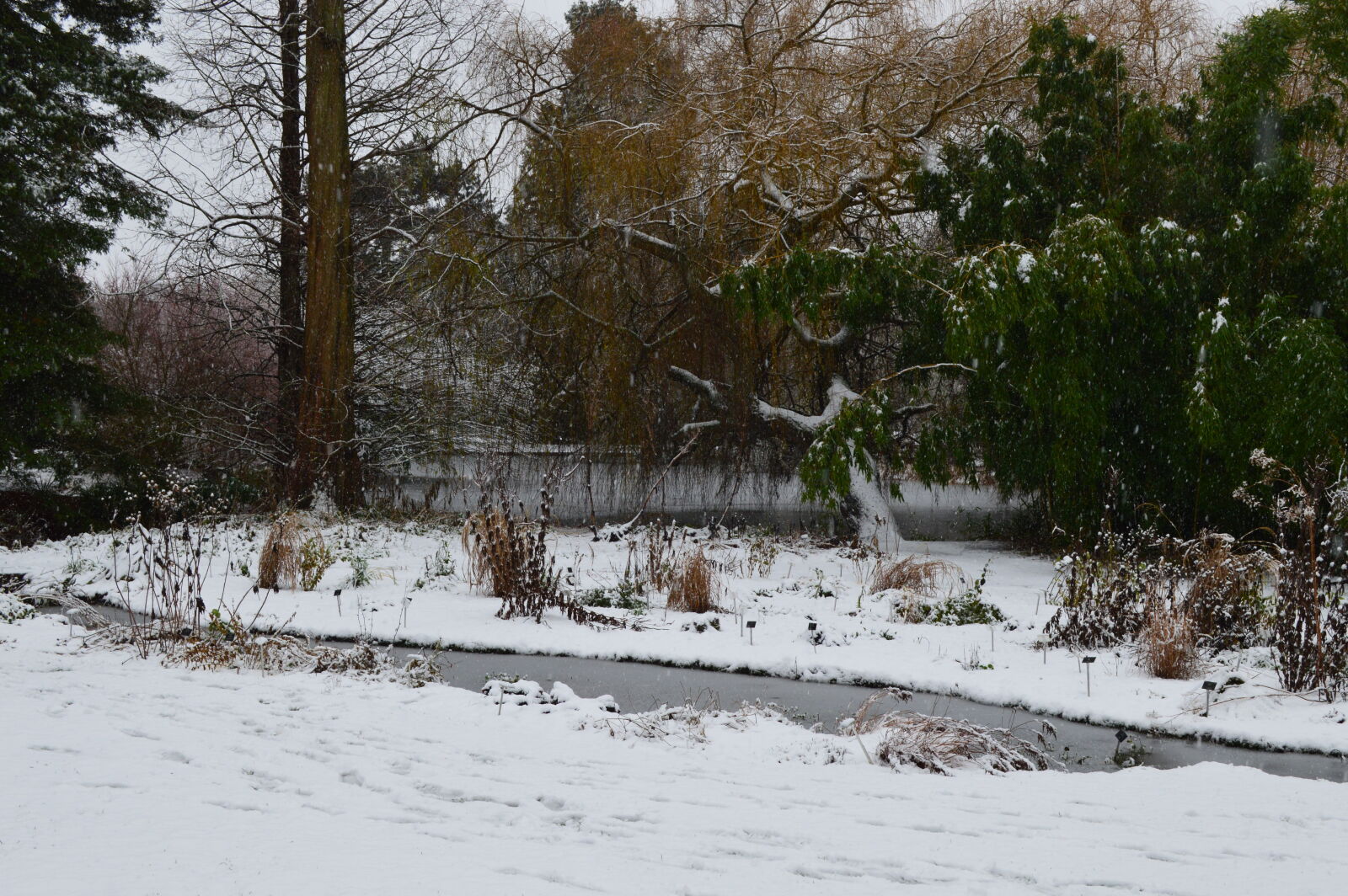 Nikon D3200 sample photo. Snow, water, trees, winter photography