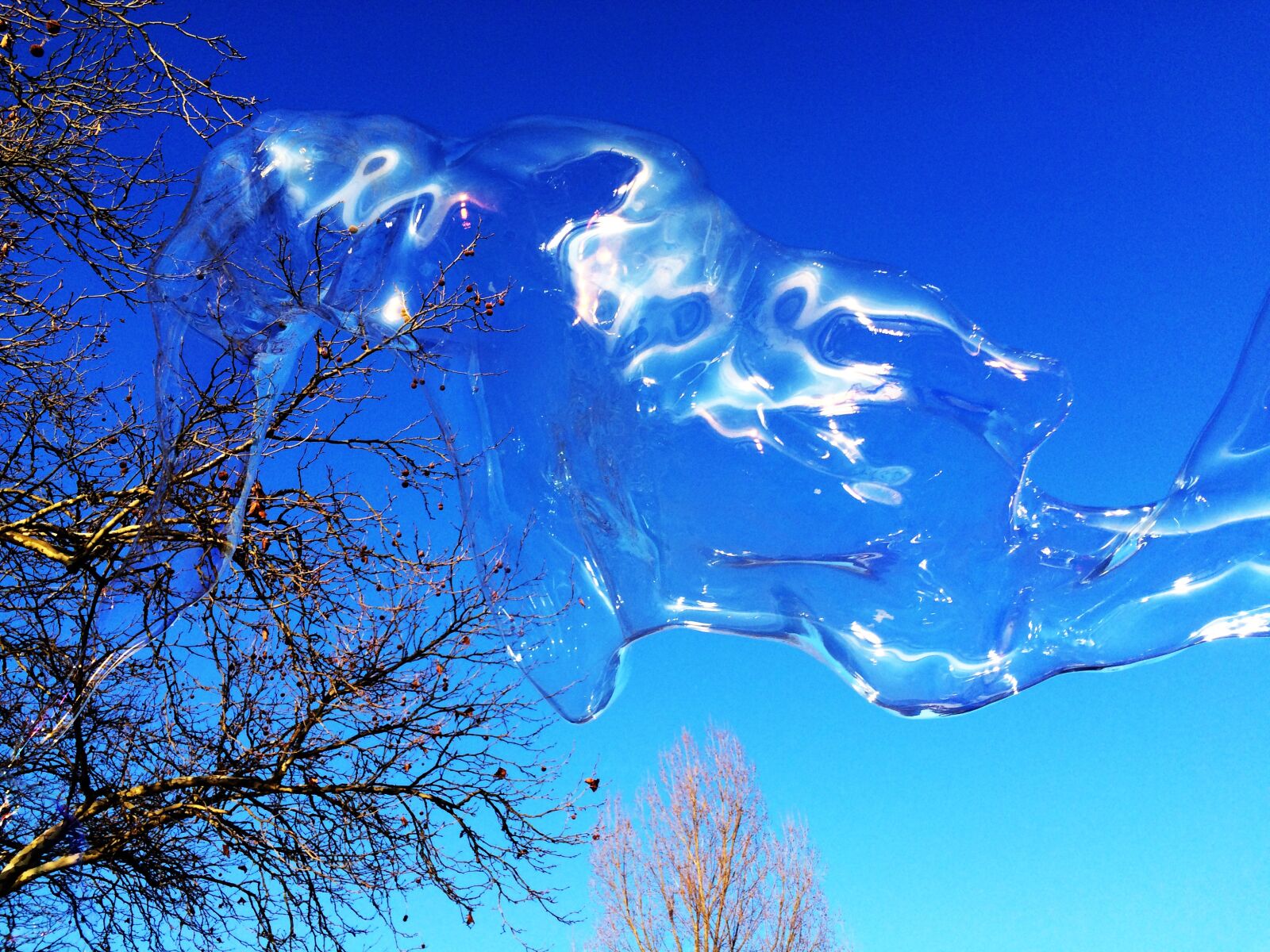Apple iPhone 5s sample photo. Soap bubble, huge, colorful photography