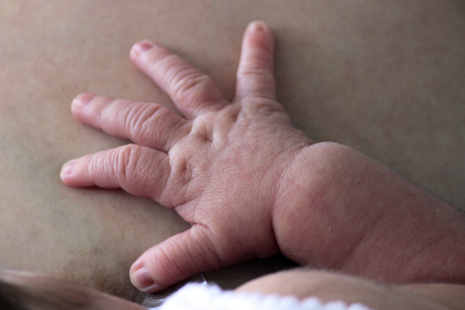 Canon EOS 600D (Rebel EOS T3i / EOS Kiss X5) sample photo. Baby, hand, fingers photography