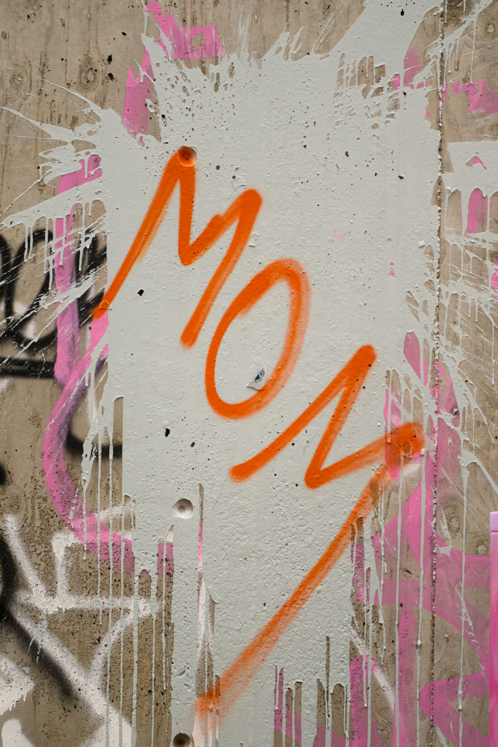 Nikon Z8 sample photo. Mom graffiti dirt photography